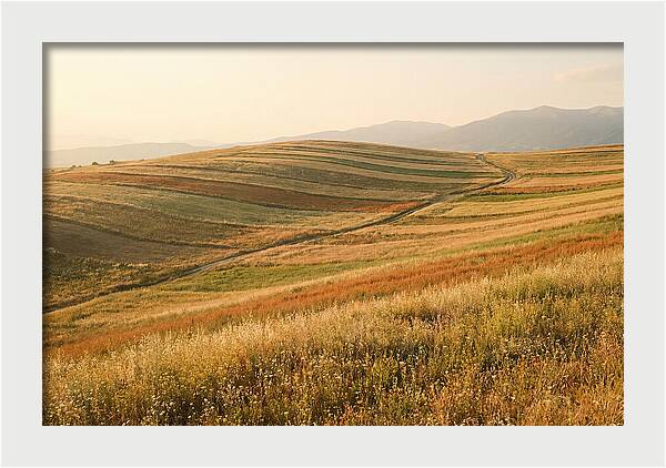 Vibrant Tranquility Of Painted Hills