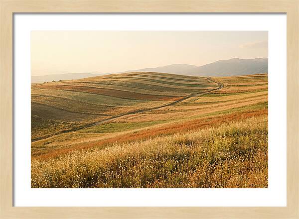 Vibrant Tranquility Of Painted Hills