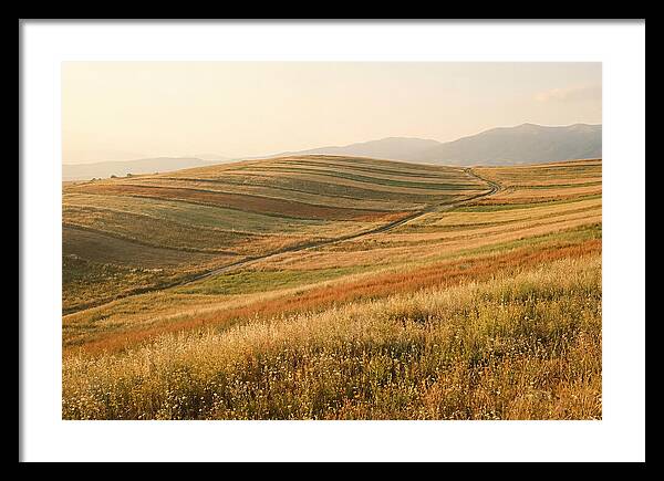 Vibrant Tranquility Of Painted Hills