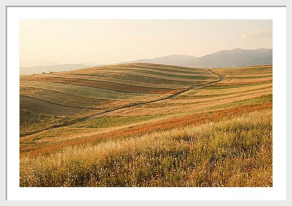 Vibrant Tranquility Of Painted Hills