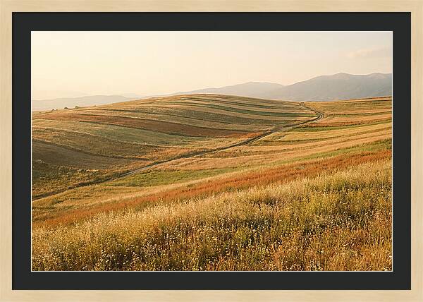 Vibrant Tranquility Of Painted Hills