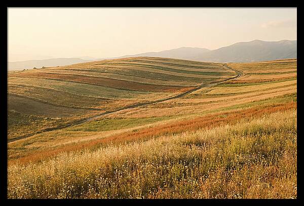 Vibrant Tranquility Of Painted Hills
