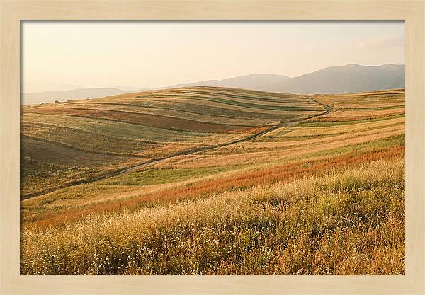 Vibrant Tranquility Of Painted Hills