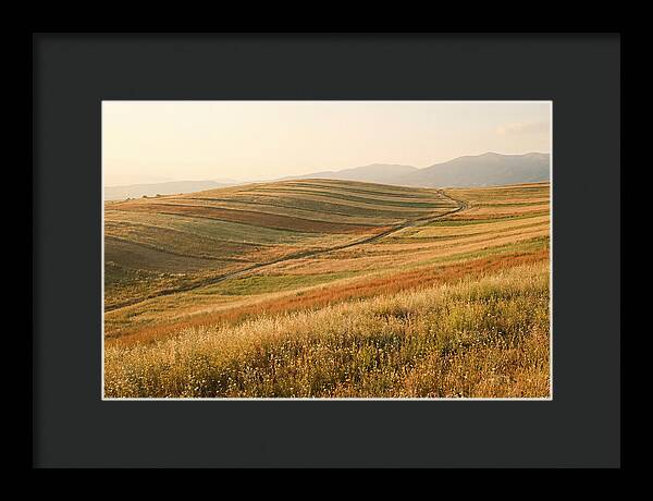 Vibrant Tranquility Of Painted Hills