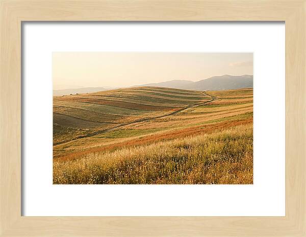 Vibrant Tranquility Of Painted Hills