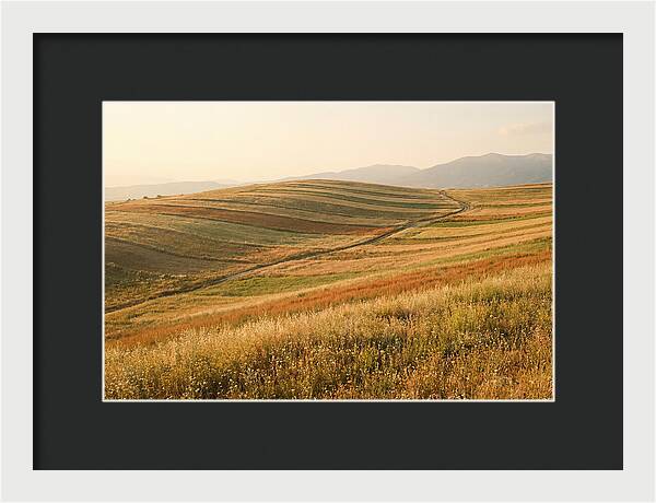 Vibrant Tranquility Of Painted Hills