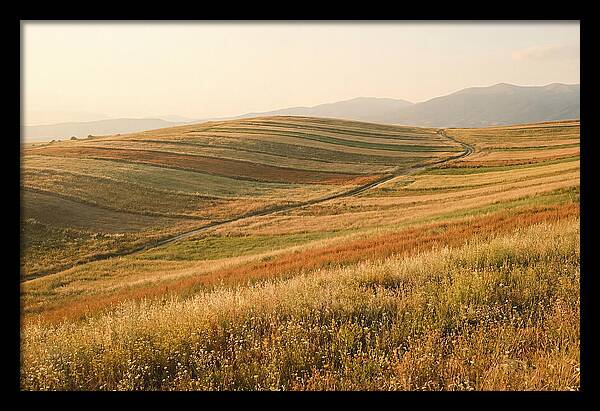 Vibrant Tranquility Of Painted Hills