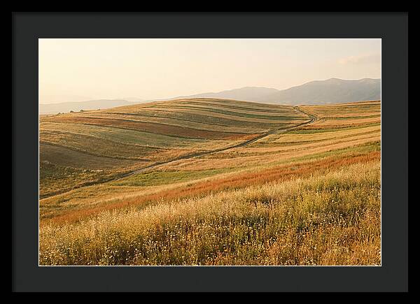 Vibrant Tranquility Of Painted Hills