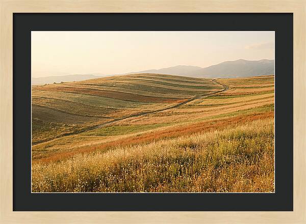 Vibrant Tranquility Of Painted Hills