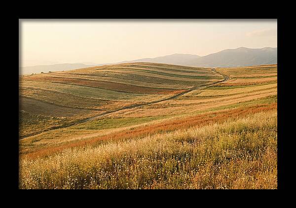 Vibrant Tranquility Of Painted Hills