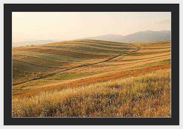 Vibrant Tranquility Of Painted Hills