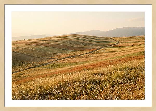 Vibrant Tranquility Of Painted Hills