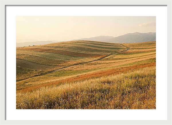 Vibrant Tranquility Of Painted Hills