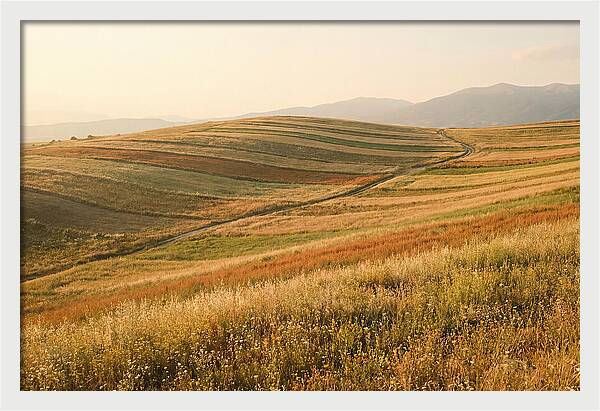Vibrant Tranquility Of Painted Hills