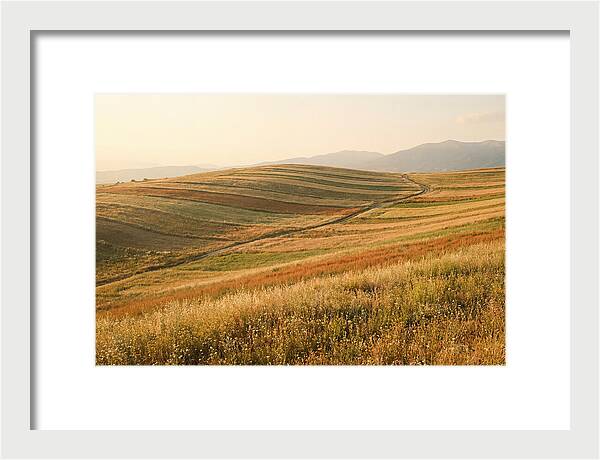Vibrant Tranquility Of Painted Hills