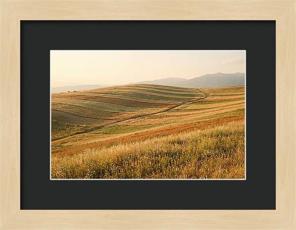 Vibrant Tranquility Of Painted Hills
