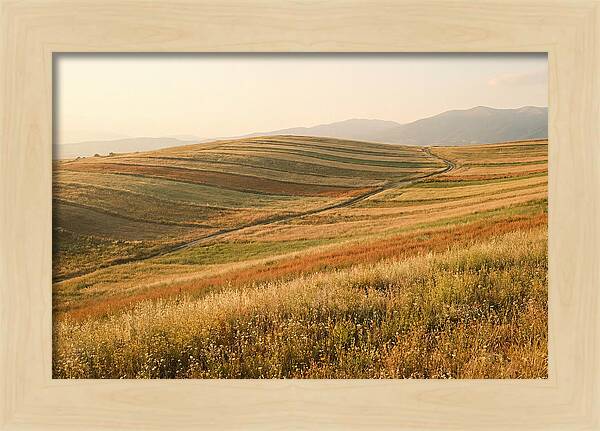 Vibrant Tranquility Of Painted Hills