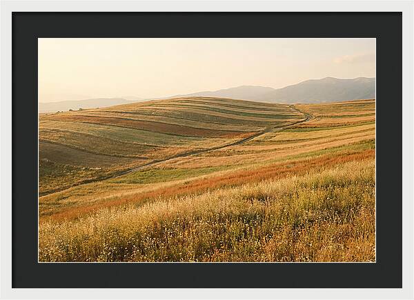 Vibrant Tranquility Of Painted Hills