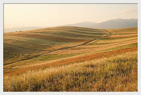 Vibrant Tranquility Of Painted Hills