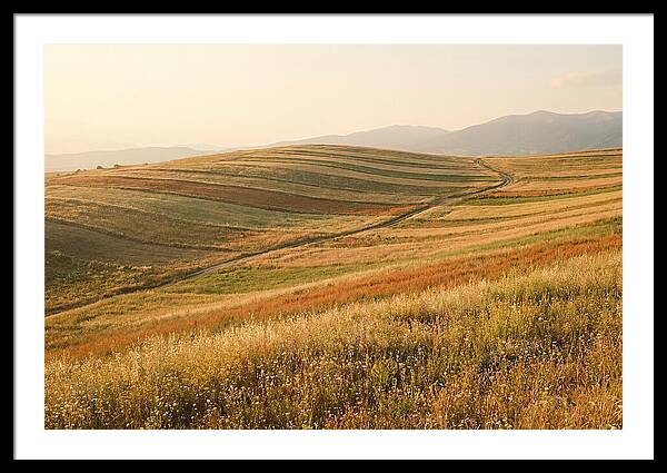Vibrant Tranquility Of Painted Hills