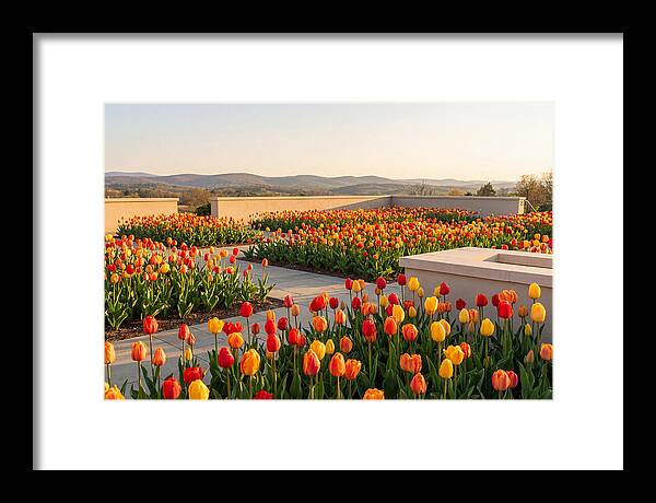 Vibrant Tulips In Spring Garden