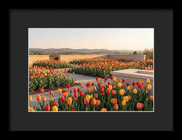 Vibrant Tulips In Spring Garden