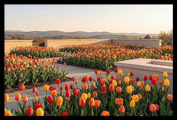 Vibrant Tulips In Spring Garden