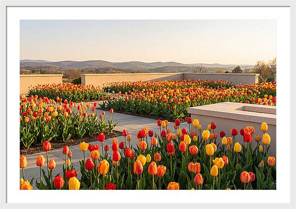 Vibrant Tulips In Spring Garden