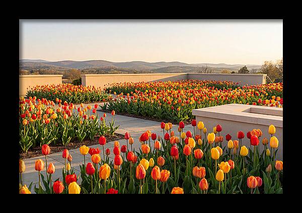 Vibrant Tulips In Spring Garden