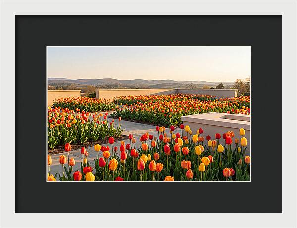 Vibrant Tulips In Spring Garden