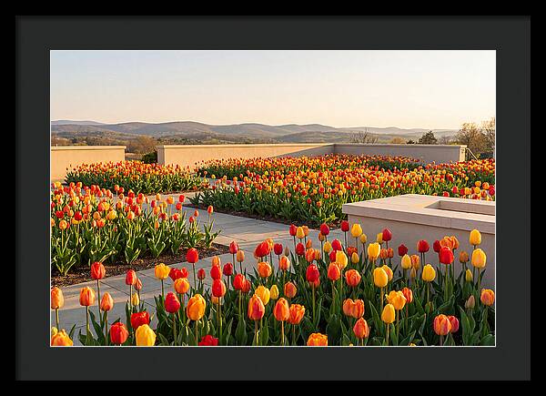 Vibrant Tulips In Spring Garden
