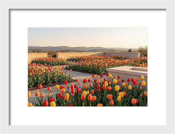 Vibrant Tulips In Spring Garden