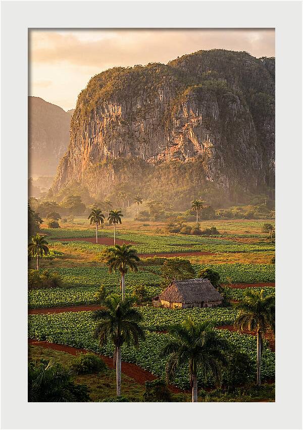 Vibrant Vinales Valley Escape