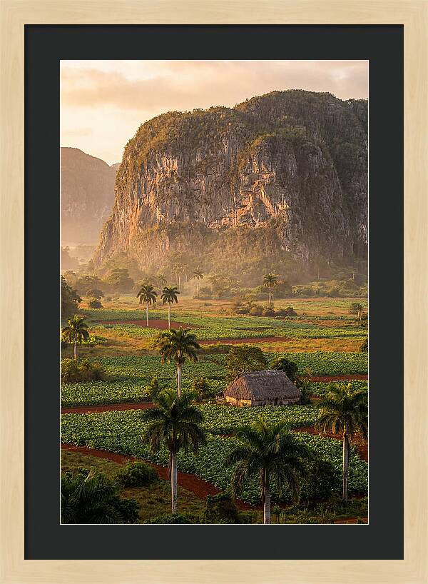 Vibrant Vinales Valley Escape