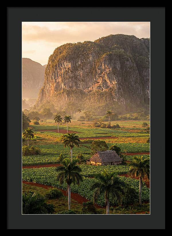 Vibrant Vinales Valley Escape