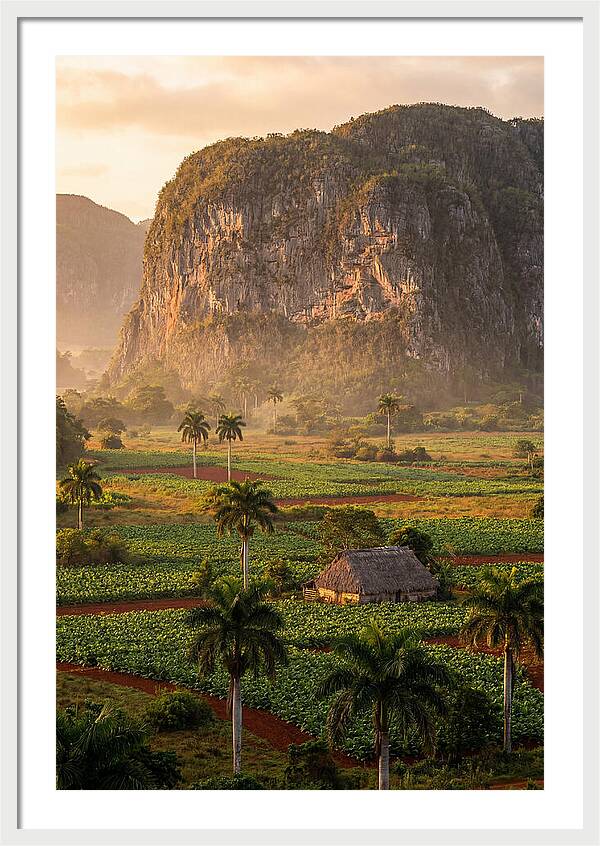 Vibrant Vinales Valley Escape