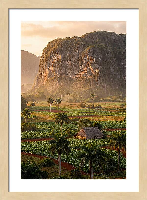 Vibrant Vinales Valley Escape