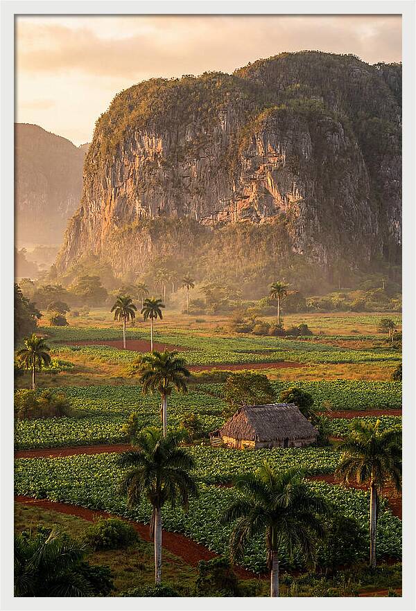 Vibrant Vinales Valley Escape