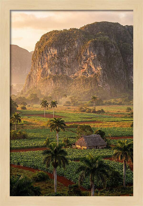 Vibrant Vinales Valley Escape
