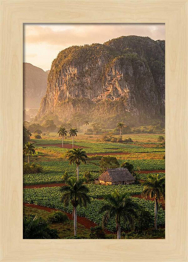 Vibrant Vinales Valley Escape