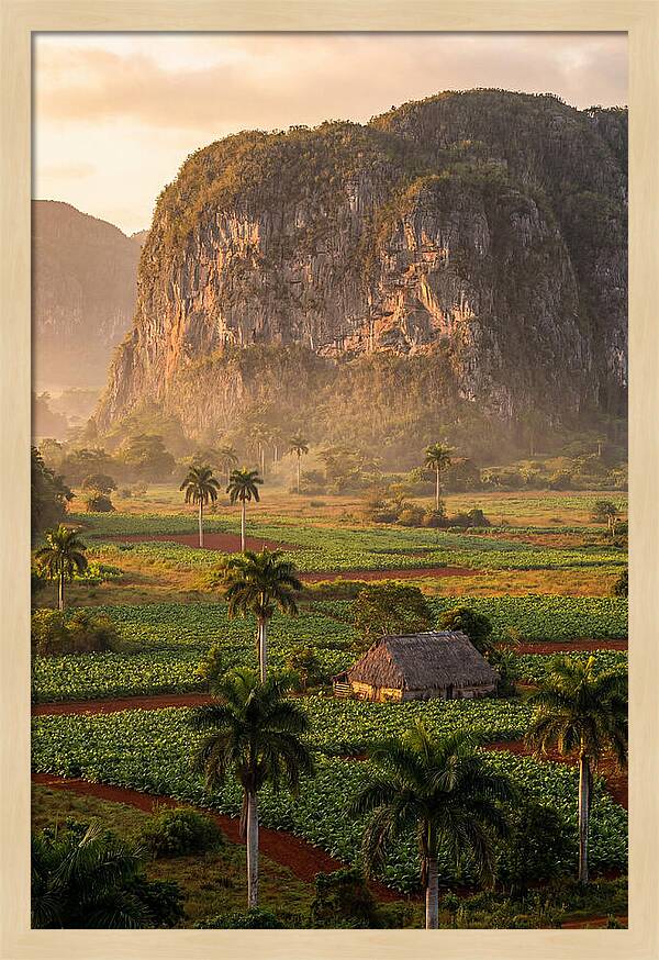 Vibrant Vinales Valley Escape