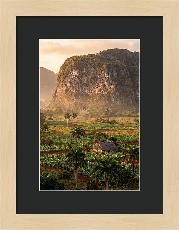Vibrant Vinales Valley Escape