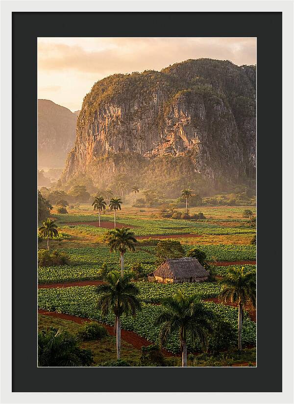 Vibrant Vinales Valley Escape