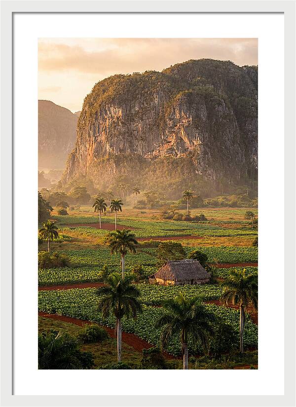 Vibrant Vinales Valley Escape