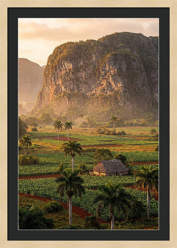Vibrant Vinales Valley Escape