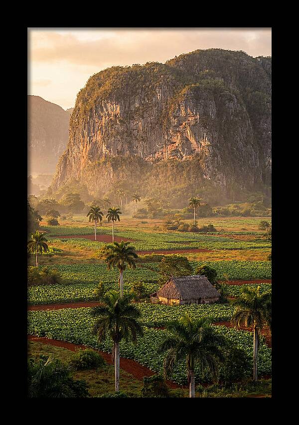 Vibrant Vinales Valley Escape