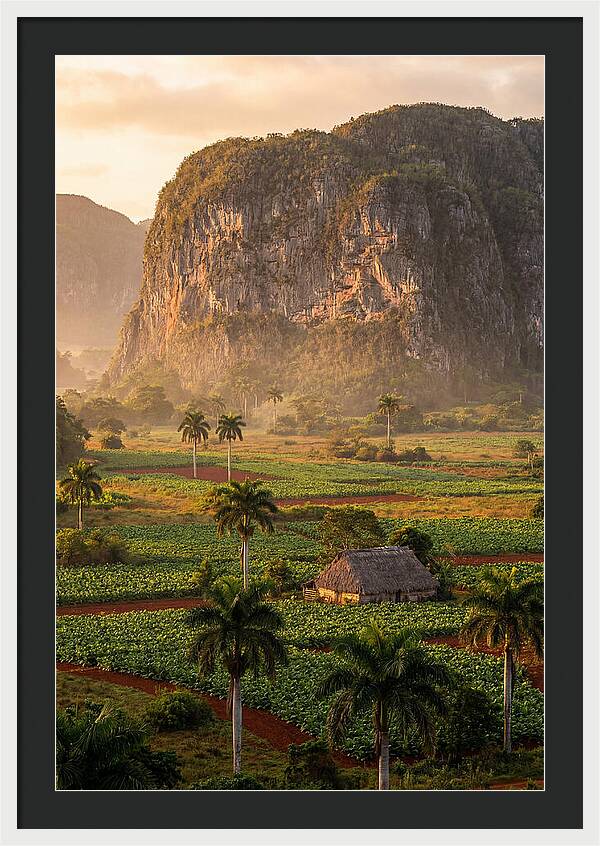 Vibrant Vinales Valley Escape