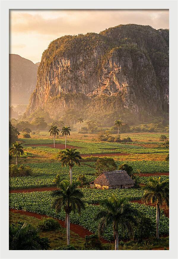 Vibrant Vinales Valley Escape