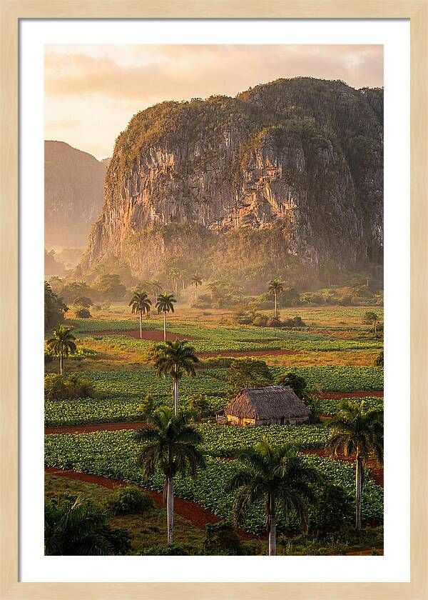 Vibrant Vinales Valley Escape