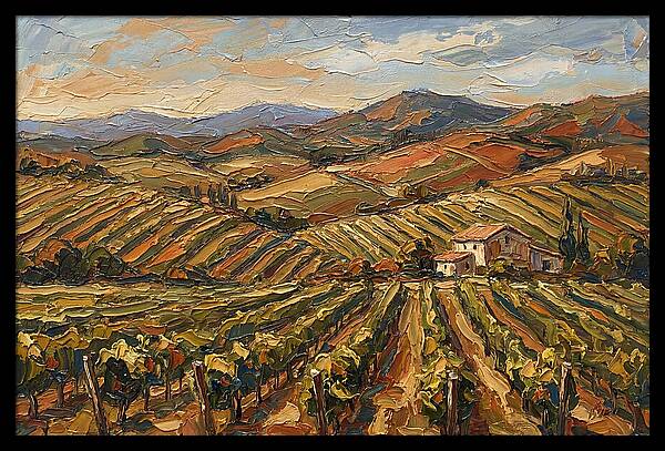 Vibrant Vineyard Serenity